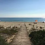 Le Palmette
