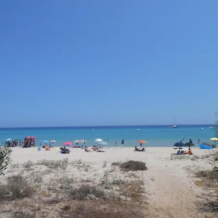 Le Palmette モンテ・ナイ