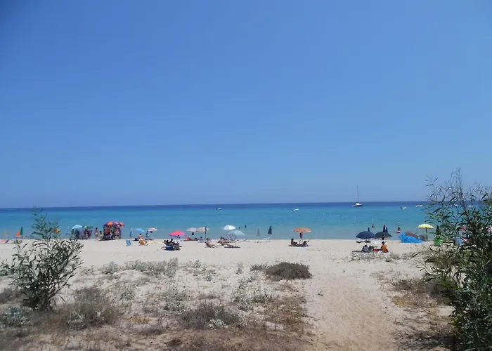 Le Palmette 蒙特奈