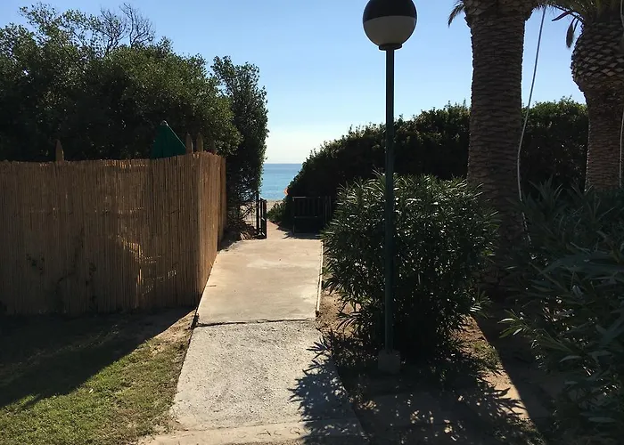 Le Palmette 蒙特奈